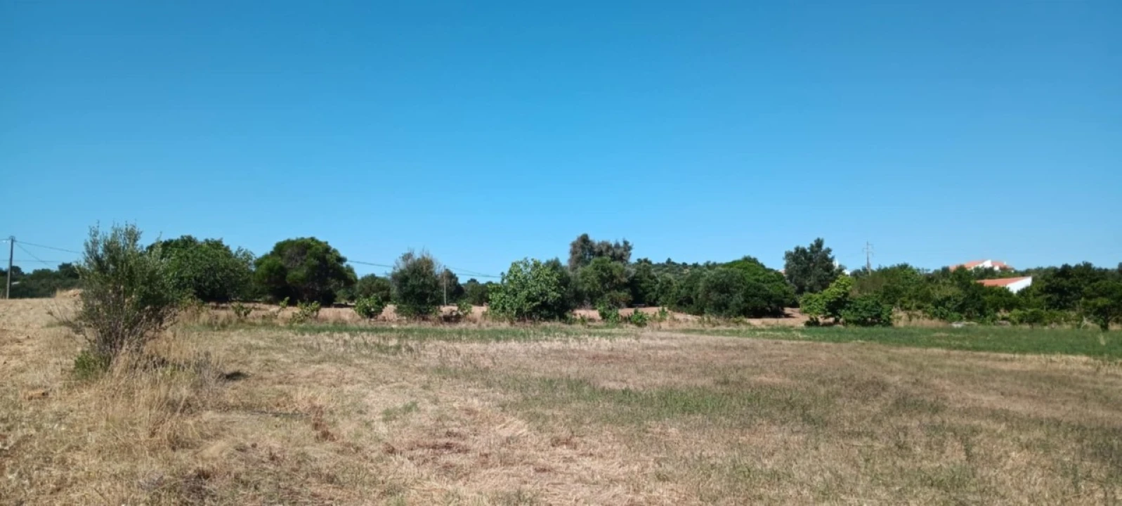 Terreno Agricola ou Rústico para Venda em Odiaxere Foto 7