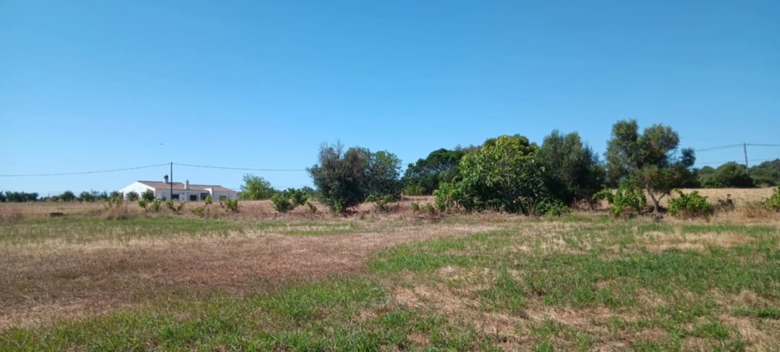 Terreno Agricola ou Rústico para Venda em Odiaxere Foto 1