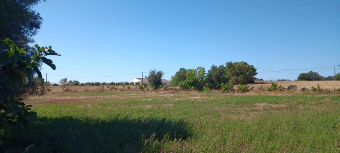 Terreno Agricola ou Rústico para Venda em Odiaxere Foto 3