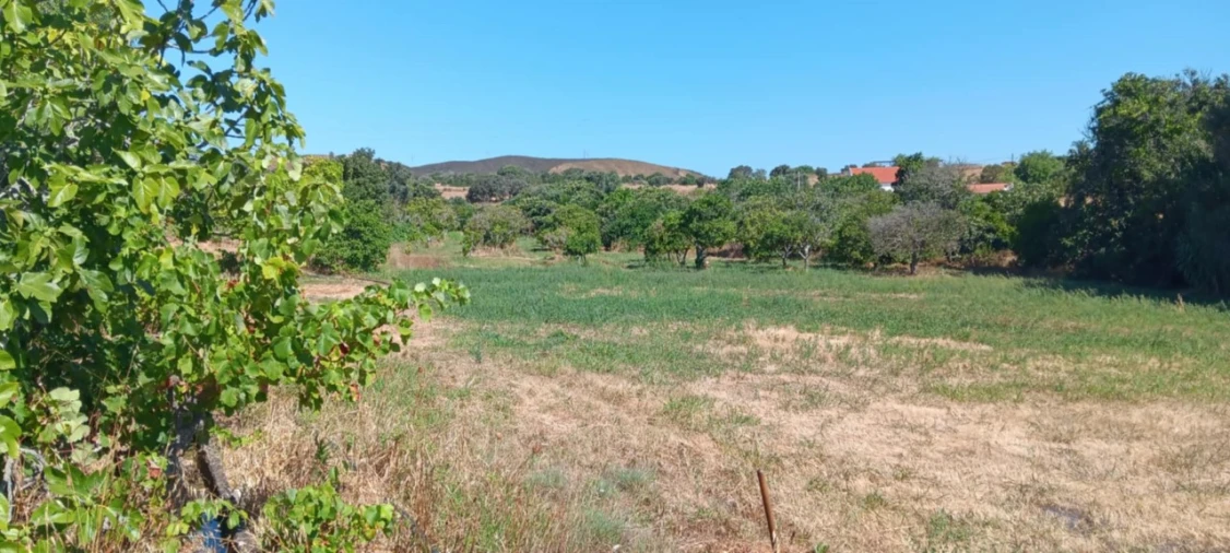 Terreno Agricola ou Rústico para Venda em Odiaxere Foto 6
