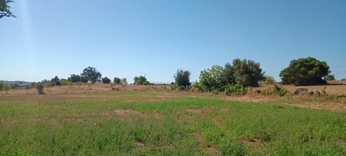 Terreno Agricola ou Rústico para Venda em Odiaxere Foto 11