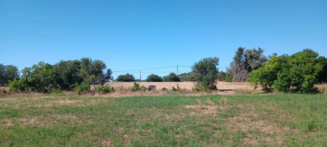 Terreno Agricola ou Rústico para Venda em Odiaxere Foto 12
