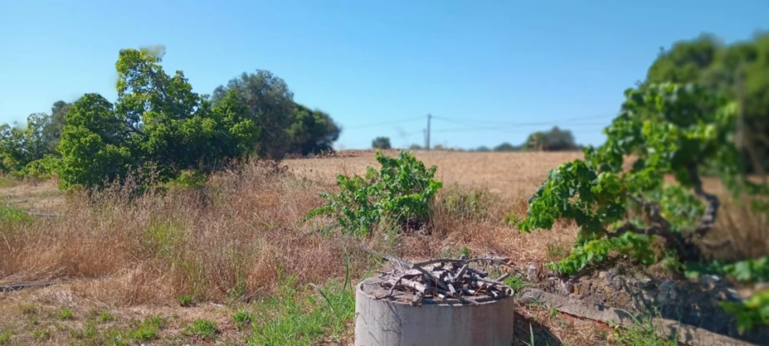 Terreno Agricola ou Rústico para Venda em Odiaxere Foto 13