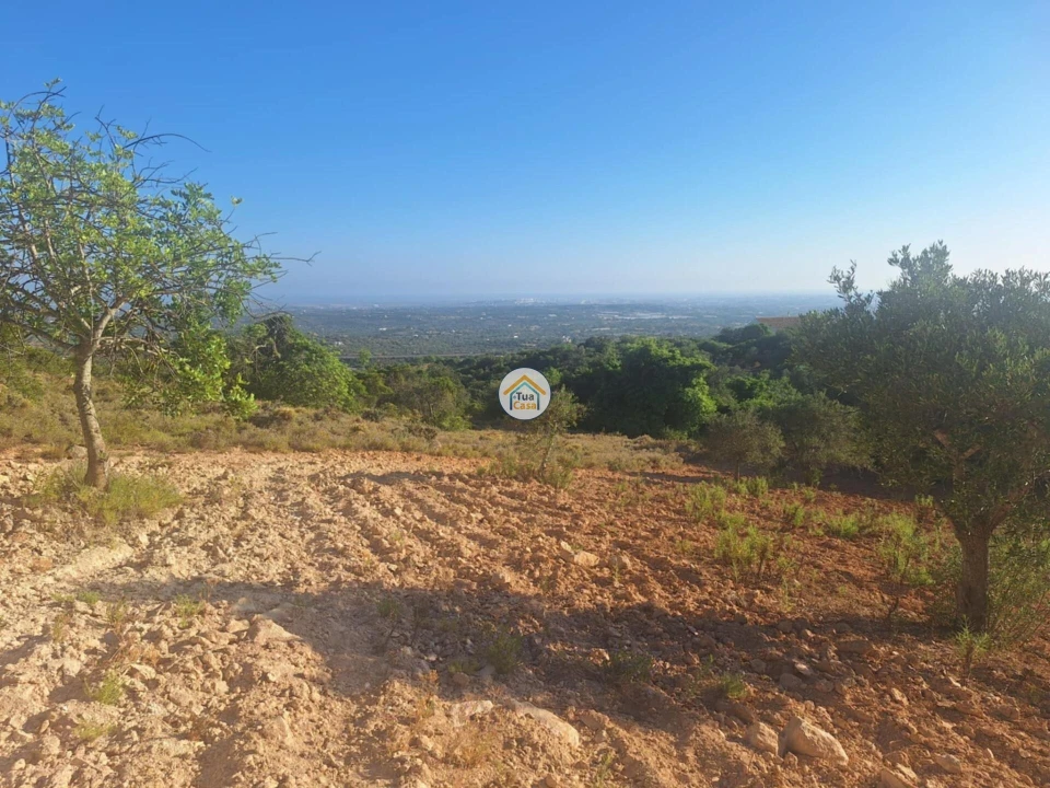 Terreno para Venda em Conceição e Estoi Foto 12