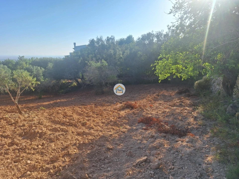 Terreno para Venda em Conceição e Estoi Foto 21