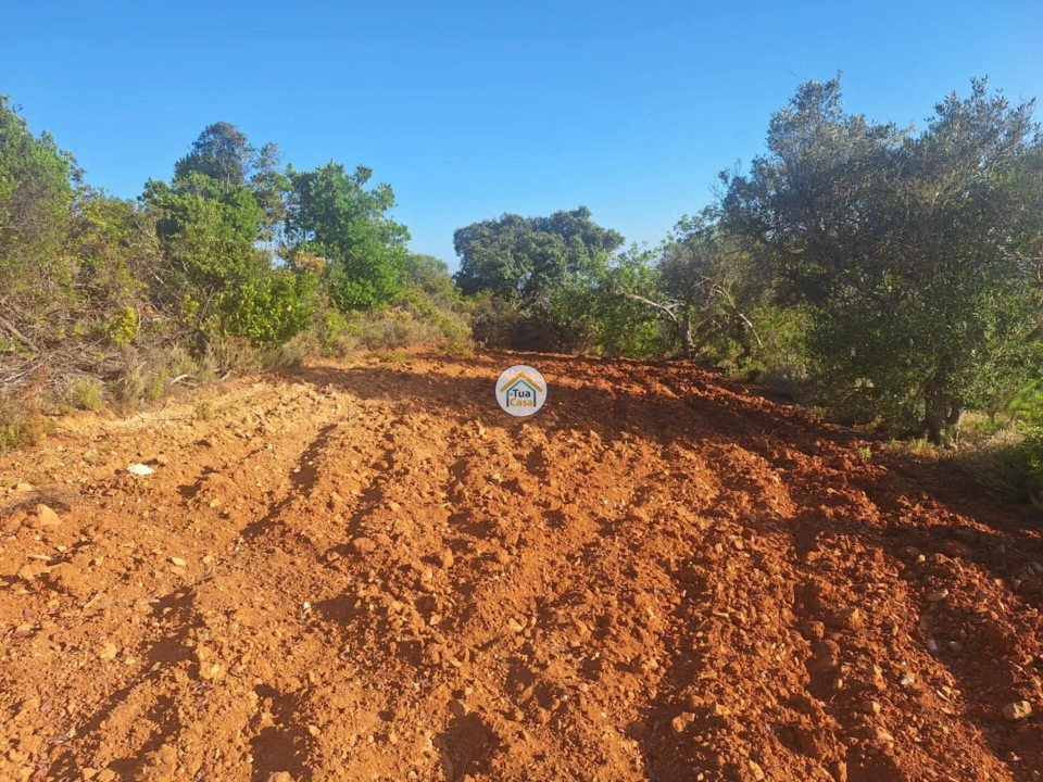 Terreno para Venda em Conceição e Estoi Foto 14