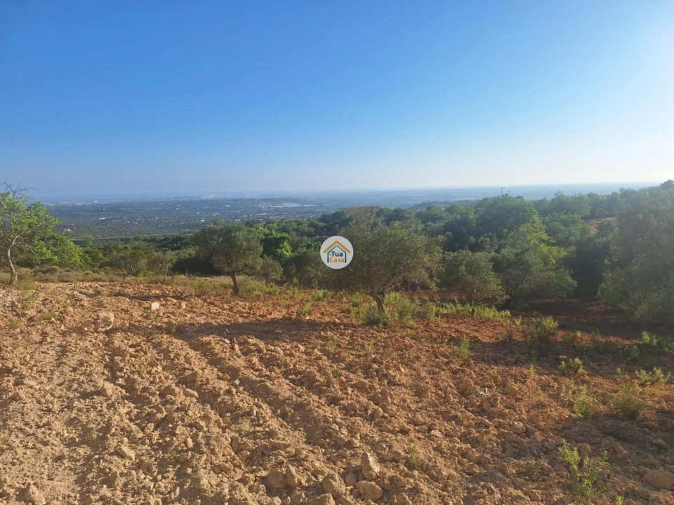 Terreno para Venda em Conceição e Estoi Foto 1