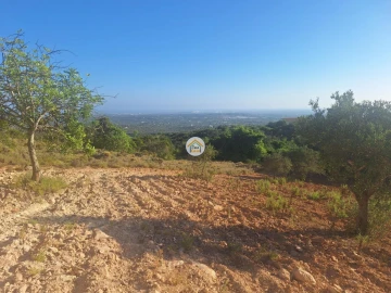 Terreno para Venda em Conceição e Estoi