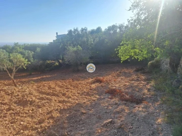 Terreno para Venda em Conceição e Estoi