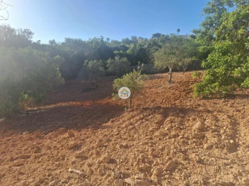 Terreno para Venda em Conceição e Estoi