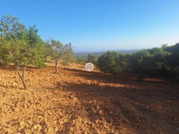 Terreno para Venda em Conceição e Estoi