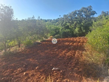 Terreno para Venda em Conceição e Estoi
