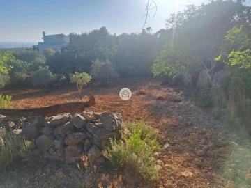 Terreno para Venda em Conceição e Estoi
