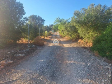 Terreno para Venda em Conceição e Estoi