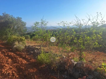 Terreno para Venda em Conceição e Estoi