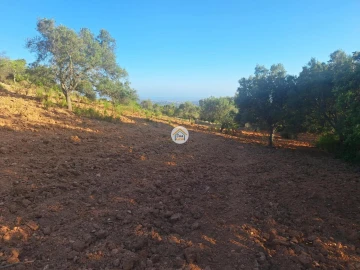 Terreno para Venda em Conceição e Estoi