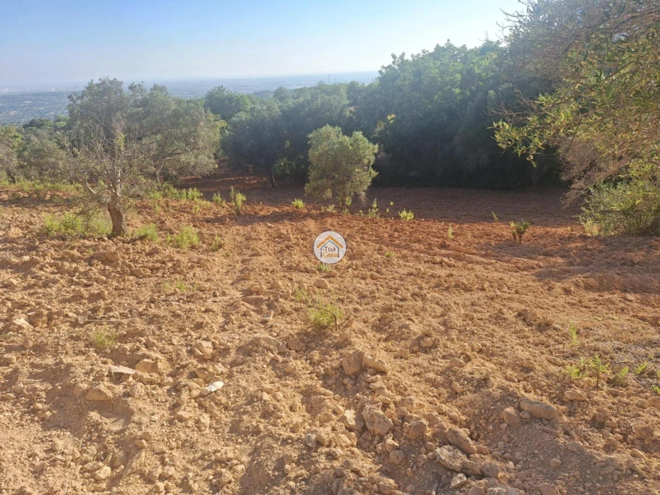 Terreno para Venda em Conceição e Estoi Foto 2