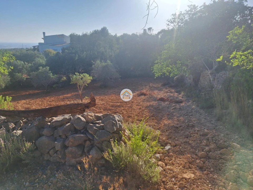 Terreno para Venda em Conceição e Estoi Foto 4
