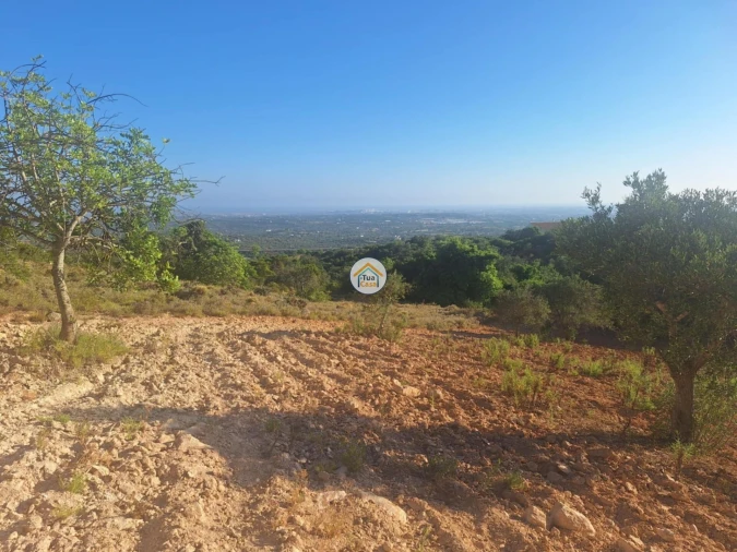 Terreno para Venda em Conceição e Estoi Foto 12