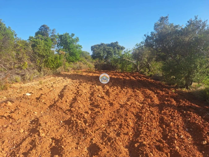Terreno para Venda em Conceição e Estoi Foto 14