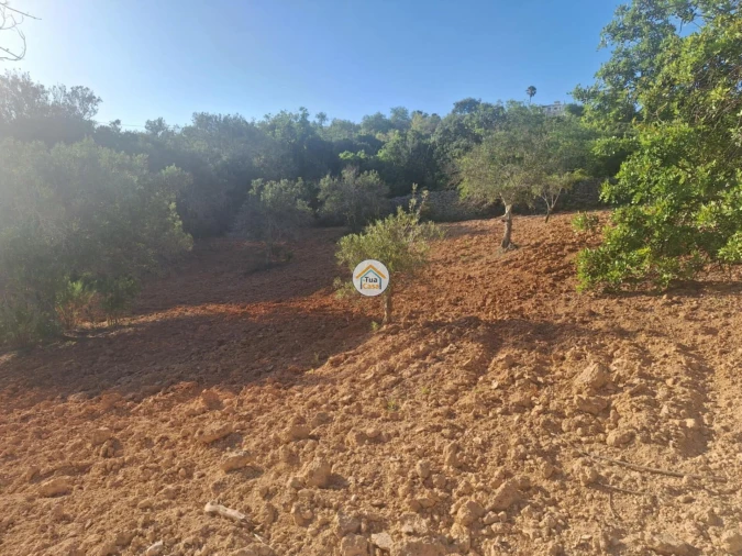 Terreno para Venda em Conceição e Estoi Foto 16