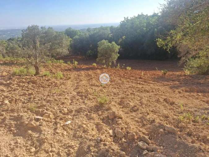 Terreno para Venda em Conceição e Estoi Foto 2