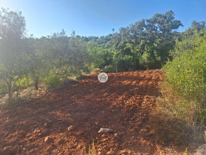 Terreno para Venda em Conceição e Estoi Foto 18