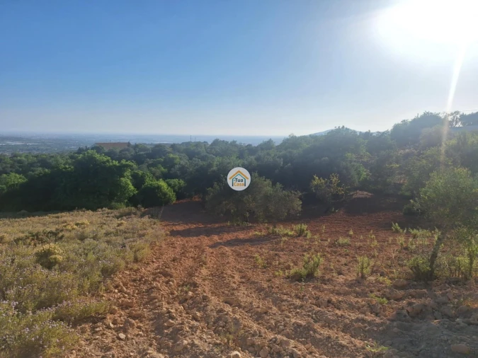 Terreno para Venda em Conceição e Estoi Foto 15