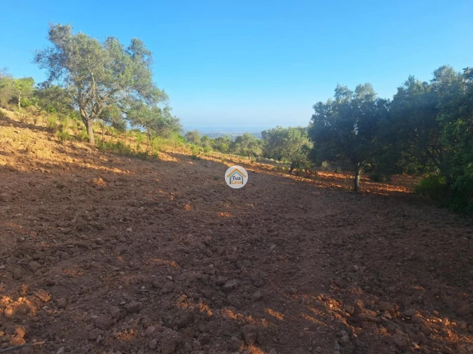 Terreno para Venda em Conceição e Estoi Foto 17
