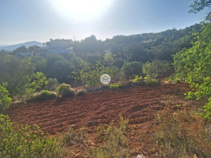 Terreno para Venda em Conceição e Estoi Foto 10