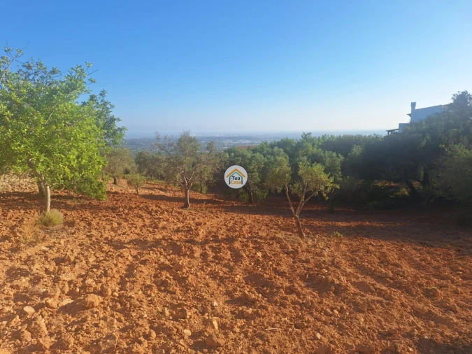 Terreno para Venda em Conceição e Estoi Foto 7