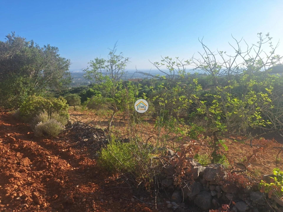 Terreno para Venda em Conceição e Estoi Foto 19