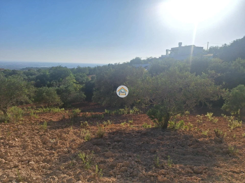Terreno para Venda em Conceição e Estoi Foto 9