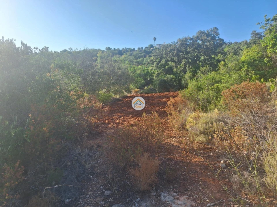 Terreno para Venda em Conceição e Estoi Foto 13