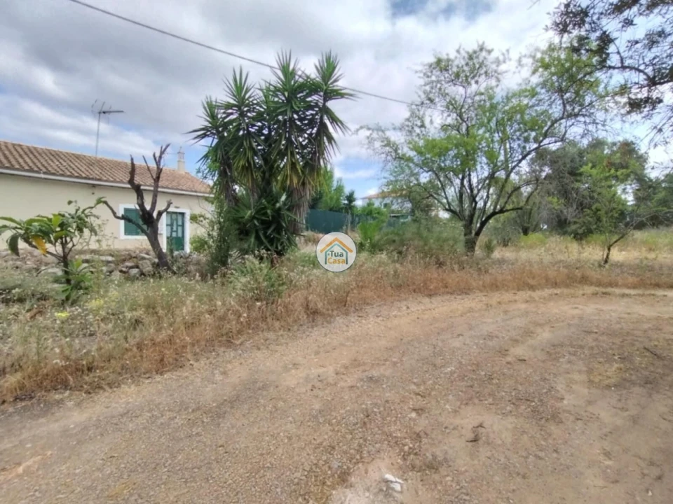 Terreno para Venda em Conceição e Estoi Foto 20