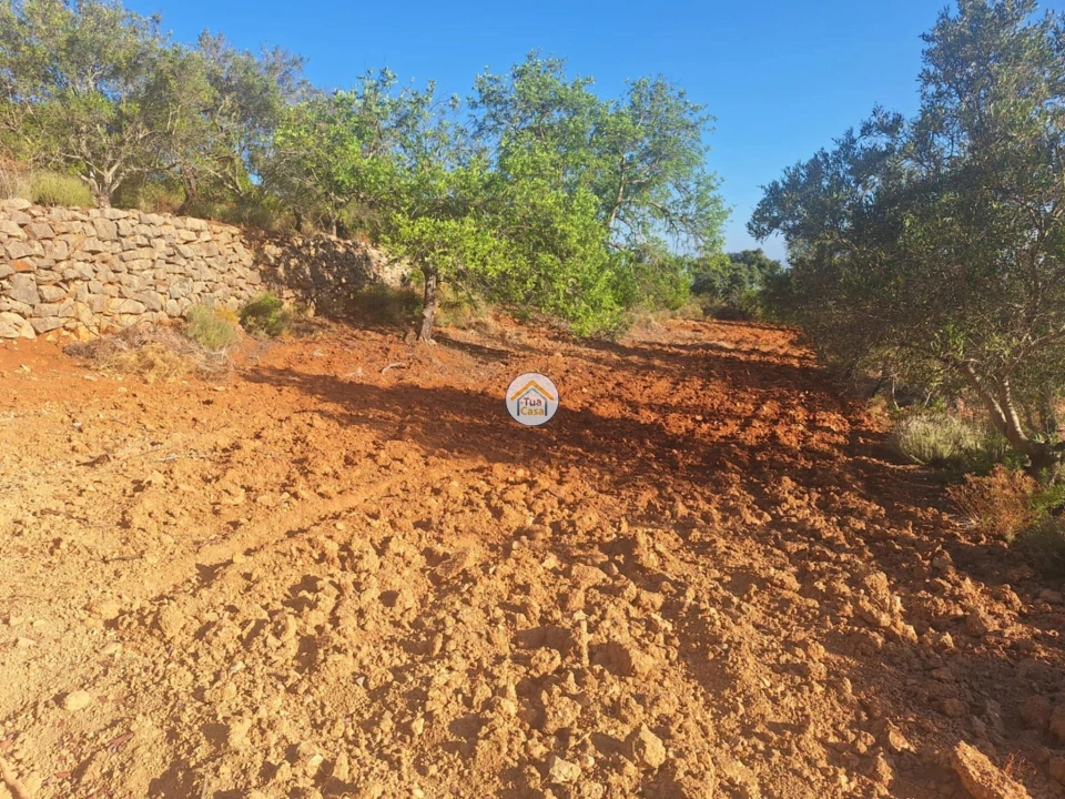 Terreno para Venda em Conceição e Estoi Foto 11