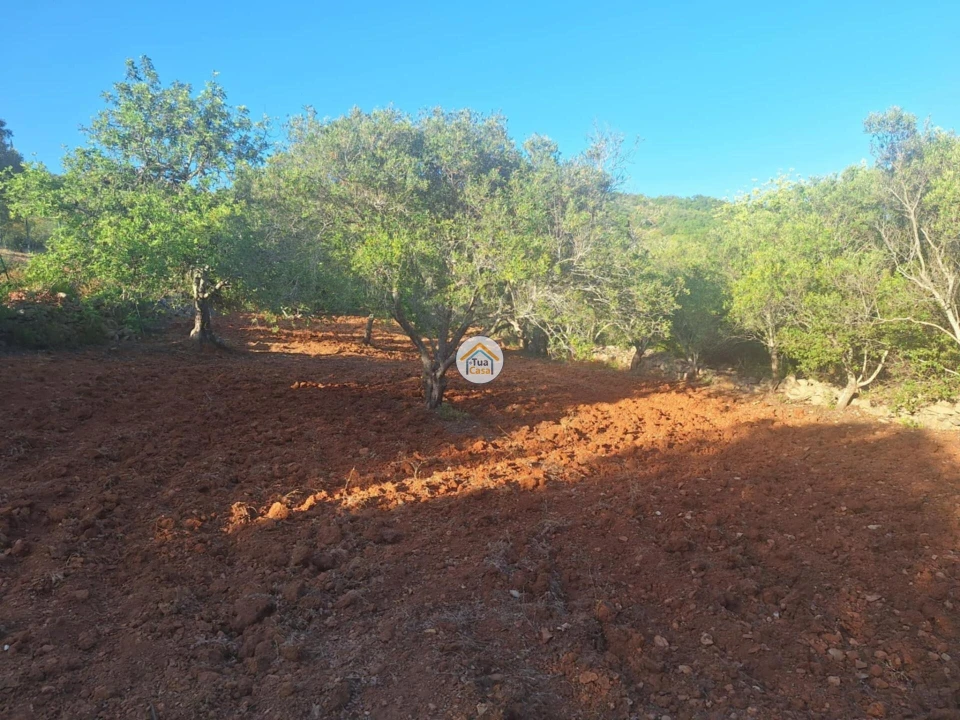 Terreno para Venda em Conceição e Estoi Foto 5
