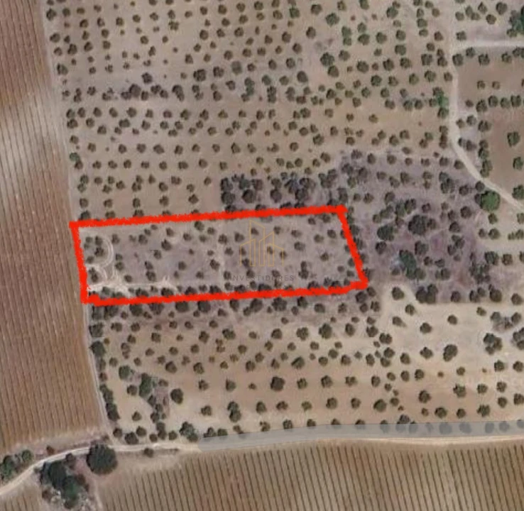 Terreno para Venda em Campo e Campinho Foto 1