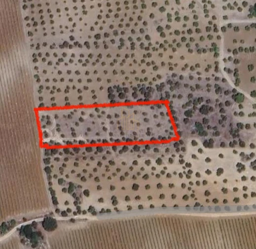 Terreno para Venda em Campo e Campinho Foto 1