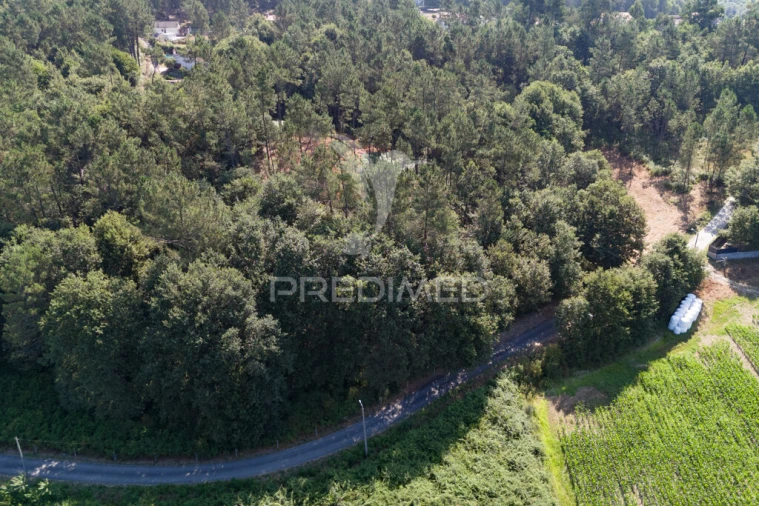 Terreno para Venda em Sabariz Foto 4
