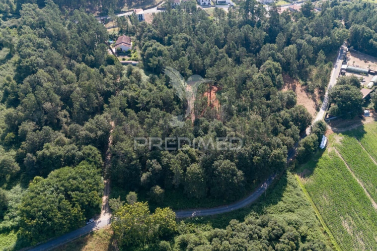 Terreno para Venda em Sabariz Foto 2
