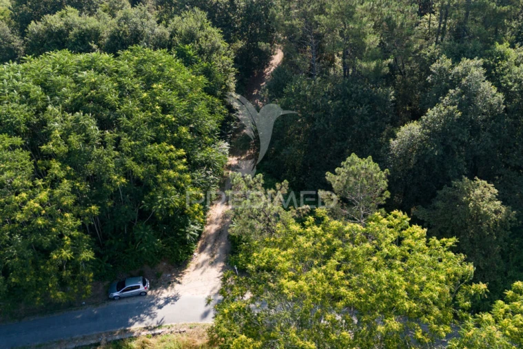 Terreno para Venda em Sabariz Foto 5