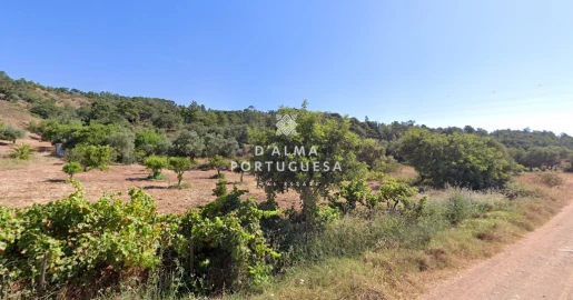 Terreno para Venda em São Brás de Alportel