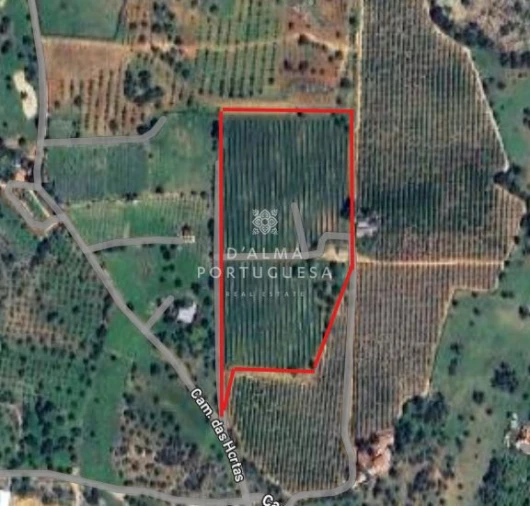 Terreno para Venda em Faro (Sé e São Pedro) Foto 2