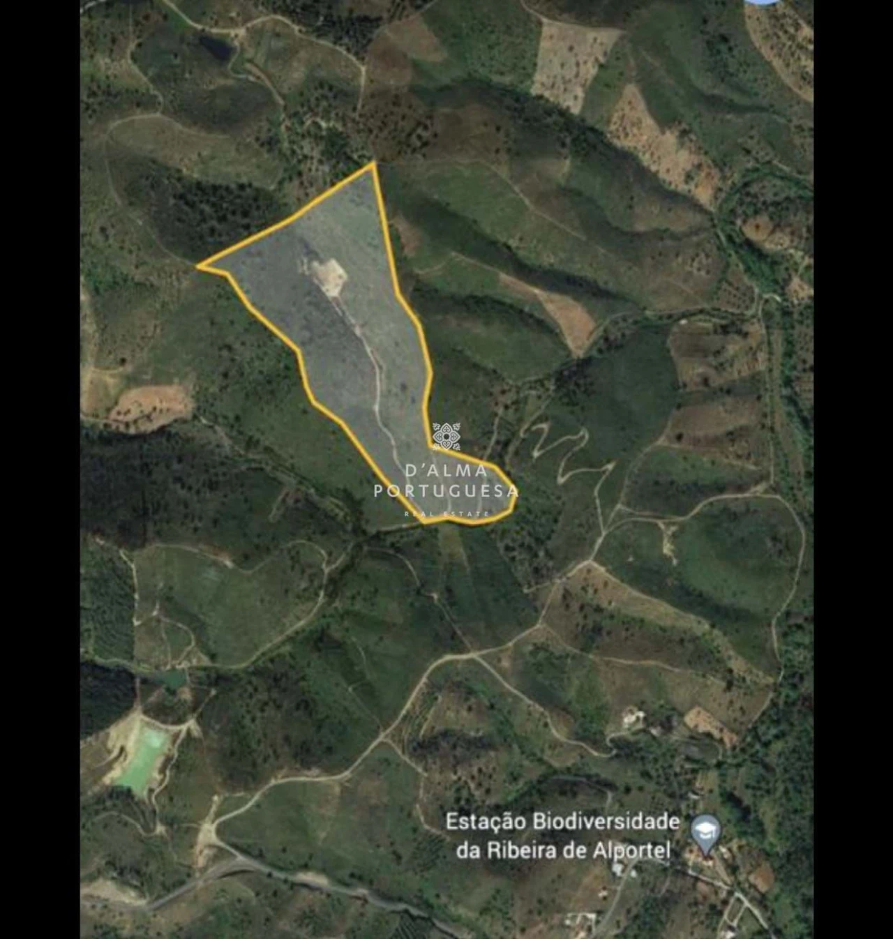 Terreno para Venda em São Brás de Alportel Foto 1