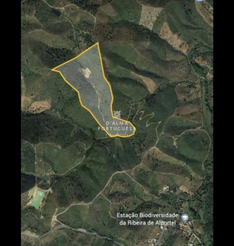Terreno para Venda em São Brás de Alportel