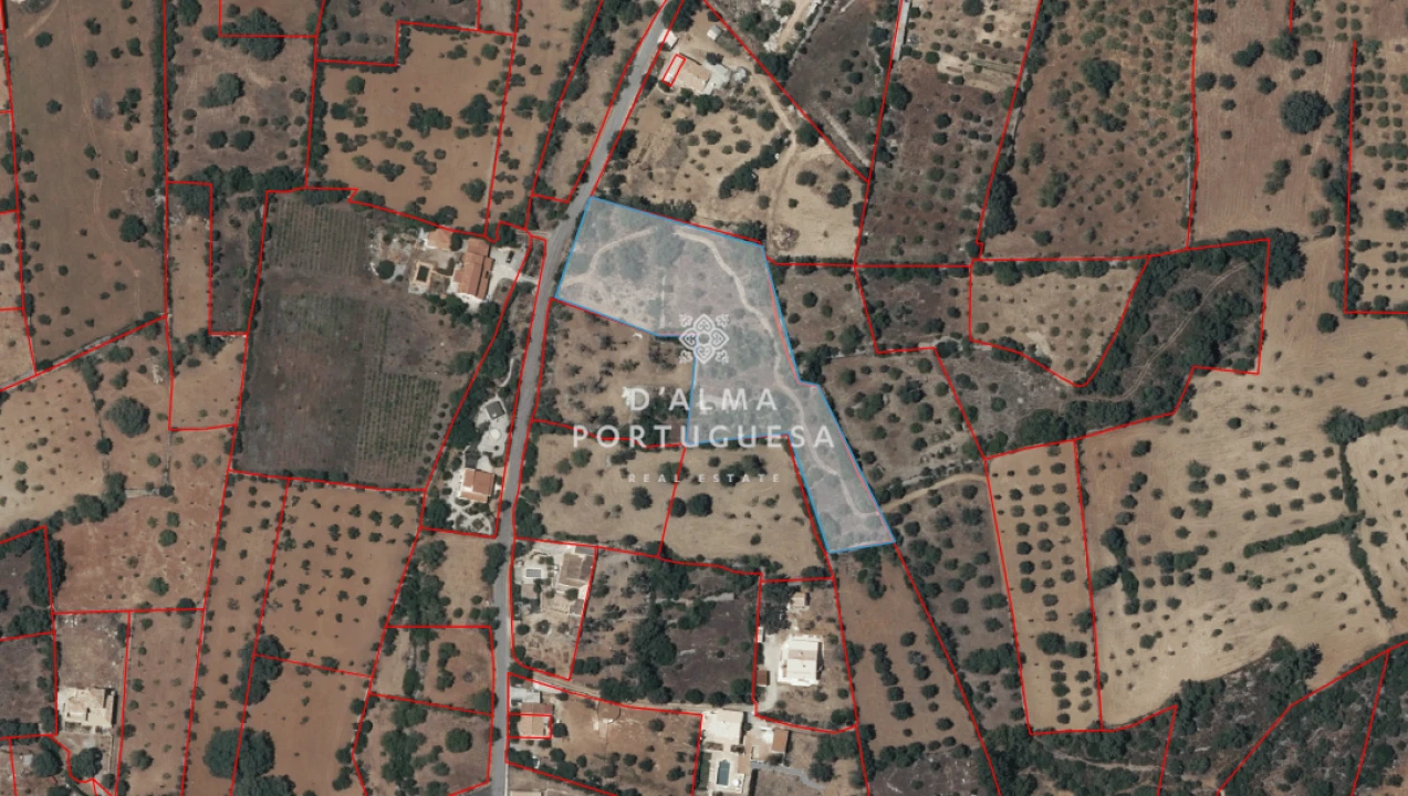 Terreno para Venda em São Brás de Alportel Foto 3