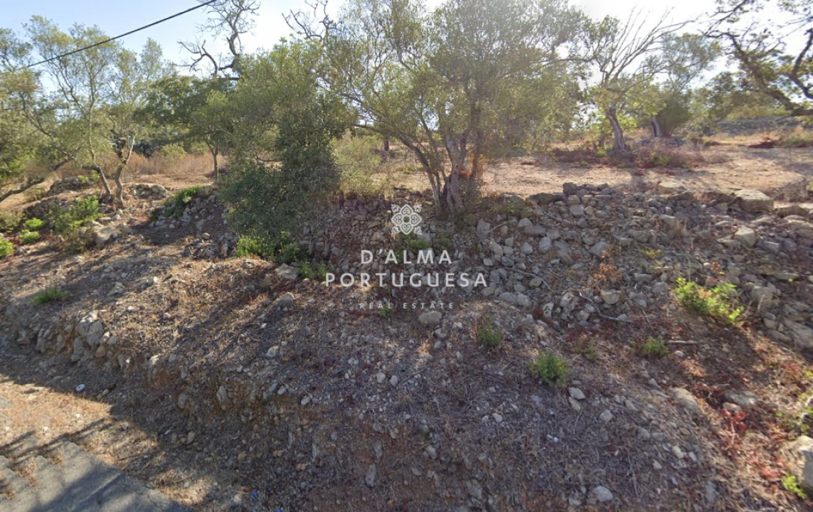 Terreno para Venda em São Brás de Alportel Foto 2
