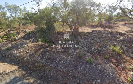 Terreno para Venda em São Brás de Alportel