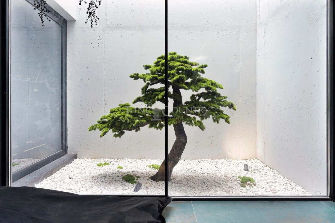 Moradia T3 para Venda em Tabua Foto 76